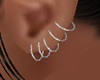 Multi Silver Earrings