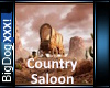 [BD]CountrySaloon