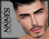 S3N - Mason Head v1