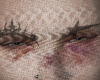 brows 01