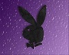Purple Playboy Picture