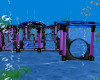 Acquarium