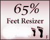 Avatar Feet Scaler 65%