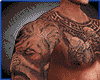 New Muscle +Tattoos