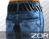 [Z] DGK Blue Jeans II