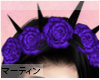 ¥. Purble Thorn / Roses