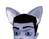 blue fox ears