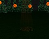 Halloween Spot Light V1