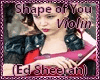 [P] Shape of You-Violin