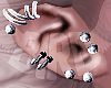 "Silver Earrings"