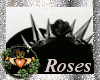 ~QI~ Roses And Spikes B