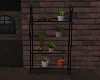 Plant Shelf