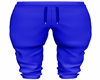 Men's Blue Joggers