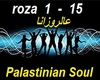 sanaa mousa-palastine
