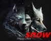 snow room