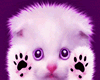 ^CW^ Sweet Purple Kitty