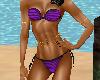 [MS]Sexy Bikini Purple