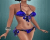 FC Bluette bikini