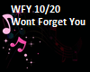 Wont Forget You