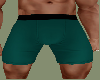 Teal Long Boxers