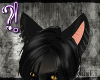 (?!)Big Bad Wolf Ears