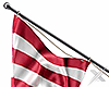 tz ❌ Flag U.S