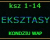 EKSZTASY