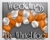 WL~ Fall Wedding BlnArch