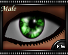 *FS Jade - Male