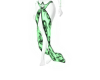 [Mae] Green Goddess Fit
