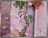 -I- Dawn Court Roses 3