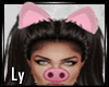 *LY* PIG Filter Animate