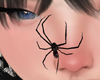 Animated Spiders
