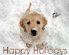 happy holiday pup