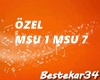 özel