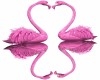Loving Flamingos