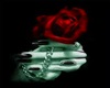 Vampire Rose Pot
