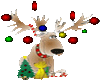 X-MAS reindeer(anim)