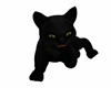 Y*Black Cat (Animated)
