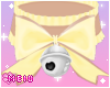 🌸 My Collar [1]