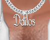 Dailos silver chain