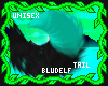 MintoTail