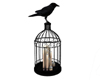 Crow Cage and Candles