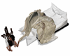 messy bed with poses