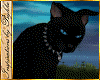 I~Black Cat*Spike