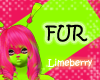 Limeberry Fur F