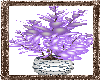 Serenity Purple