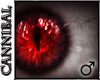 Ruby Cat's Eye [M]