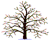 seasons tree