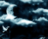 Moon Dreams